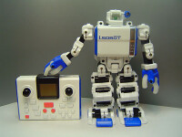 Robot partener
