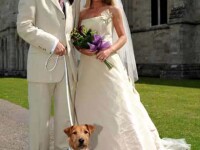 Un caine, cel mai bun...cavaler de onoare al omului!