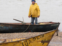 Pescuitul maritim romanesc, la un pas de colaps