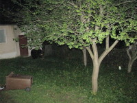 In umbra marelui urs!