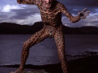 Om leopard