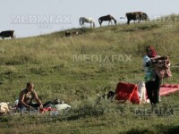 Scandal intre doua familii, care isi doresc ca ginere acelasi baiat!