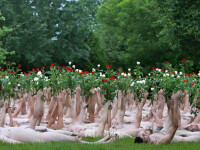 Sexy si dezbracati! Atentioneaza asupra schimbarilor climatice!