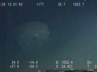 Monstru marin, surprins de camere subacvatice in Oceanul Pacific? VIDEO!