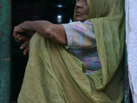 saracie, India, femeie batrana