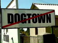 dog town