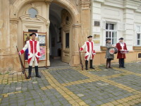 soldati la portile Muzeului de Arta