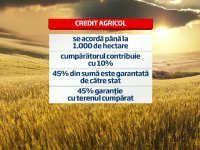 grafica terenuri agricole