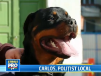 Carlos, politist local