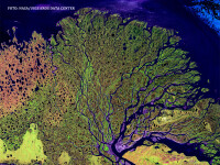 delta fluviului Lena vazuta din satelit