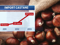 Aroma de toamna a afacerilor. In cat timp se recupereaza o investitie de 10.000 de euro facuta intr-un hectar de castani
