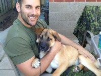 Imagini emotionante cu cei 2 caini ai soldatului mort in atacul armat din Canada. Acestia stau la poarta si inca il asteapta