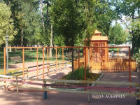 Lucrari de extindere a volierei care gazduieste veverite, din parcul municipal din Bistrita.