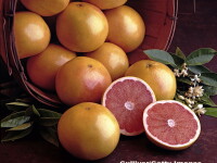 grepfrut