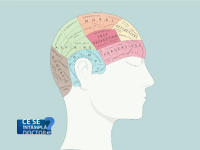 Tumorile benigne la nivelul creierului pot avea simptome multiple. Vestea buna este ca odata operate nu pun viata in pericol