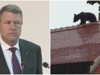 iohannis