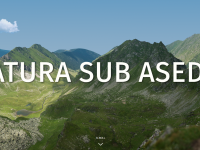 Prapad in numele energiei verzi: dezastrul cu toate actele in regula de pe raurile romanesti. REPORTAJ MULTIMEDIA