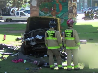 Patru morti si noua raniti intr-un accident, in California. O masina a plonjat in mijlocul spectatorilor de la un concert