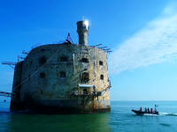 Fort Boyard, ProTV, vedete