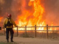 Incendiu de vegetație în California