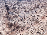California, grav afectată de incendiile de vegetație