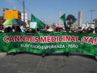 Legalizare marijuana Peru