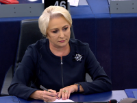 Viorica Dăncilă, Parlamentul European