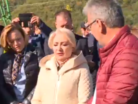 Viorica Dîncilă, Bacău