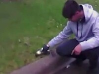 Un adolescent a resuscitat o veveriță pe care o lovise cu mașina
