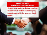 parteneriat civil