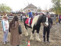 Cum îi ajută echitația terapeutică pe copiii cu diverse probleme de sănătate