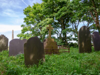 mromant tara galilor