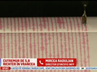 cutremur, Mircea Radulian