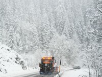 Deszăpezire pe cel mai înalt vârf din Munții Pădurea Neagră din Germania