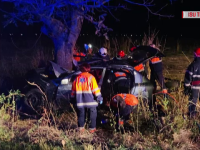 Accident TImiș