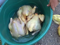 Afacerea ilegala a vopsirii gainilor ca sa para ca sunt ”de tara”. Cat de periculoasa e carnea