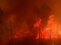Incendii uriaşe de vegetaţie fac prăpăd în California. Imagini apocaliptice