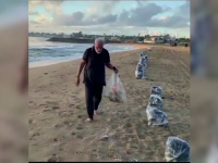 Premierul Indiei, surprins strângând gunoaiele lăsate de turiști pe plajă