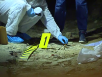 Bărbat ucis cu săbii și topoare, sub ochii copiilor. Făptașii căutau răzbunare