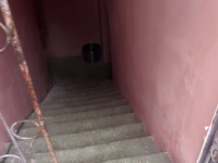 Carnagiul găsit de pompieri într-un beci din Bacău. \