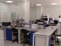 Cât se câștigă în multinaționale. Măsurile anunțate de angajatori pentru a-și păstra salariații