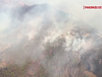 Incendiu puternic într-o pădure din Caraș-Severin. Au ars deja 40 de hectare