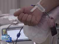Putem salva vieți cu o simplă donare de sânge. Cum funcționează Registrul de Celule Stem