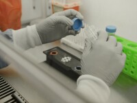 Coronavirus România, 1 octombrie 2020: 127.572 de persoane infectate și 4.825 de decese