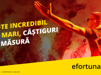 (P) De-acum ai cote de vis, să te simți ca-n Paradis. La Fortuna ai cote incredibil de mari, în agenții și online. Pe bune!