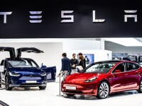 Motivul pentru care construcţia fabricii Tesla din Germania a fost suspendată