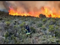 Incendiu de proporții pe Kilimanjaro. Sute de pompieri și localnici se luptă cu flăcările