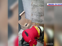 Misiune de salvare neobișnuită în Suceava. Cum au fost salvați 3 pui de pisică de pompieri
