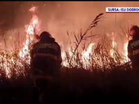 Incendiu uriaș în Delta Dunării. Pompierii nu își explică de la ce a pornit focul