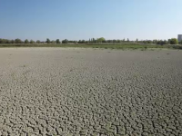 Lacul de 400 de hectare din România care s-a trasformat în deşert. 